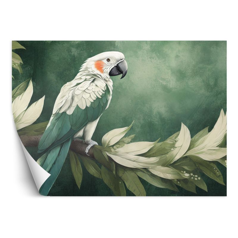 Fototapeta Feeby Papuga Ptak Zwierzęta 200x140 1 szt