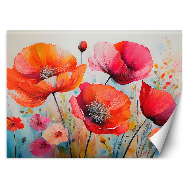 Fototapeta Feeby Maki Kwiaty Kolorowy 350x245 1 szt