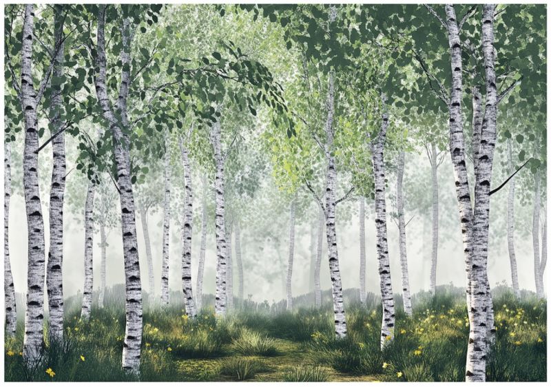 Fototapeta 3D Las Brzozowy Drzewa WALLARENA 400x280 cm Tapeta Do Sypialni Salonu Na Flizelinie 1 szt.