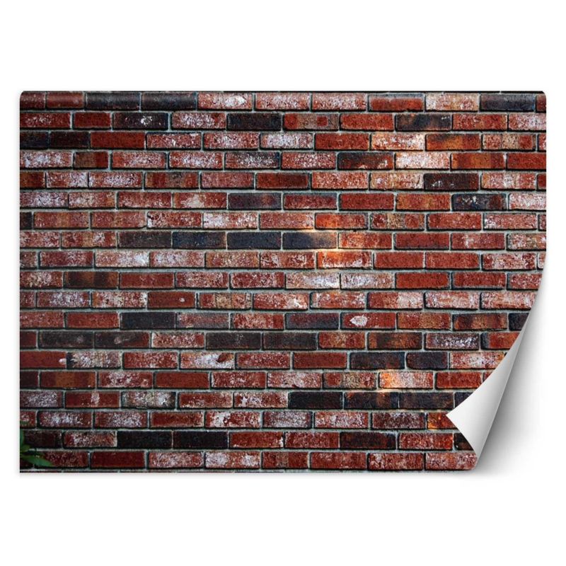 Fototapeta Feeby Mur z czerwonej cegły 400x280 1 szt