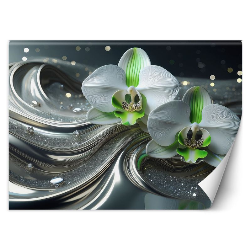 Fototapeta Feeby Kwiat abstrakcji orchidei 350x245 1 szt