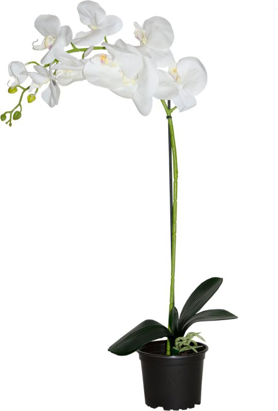 Storczyk sztuczny premium Direct Home&Garden 9 kwiatów 61cm 1 szt.