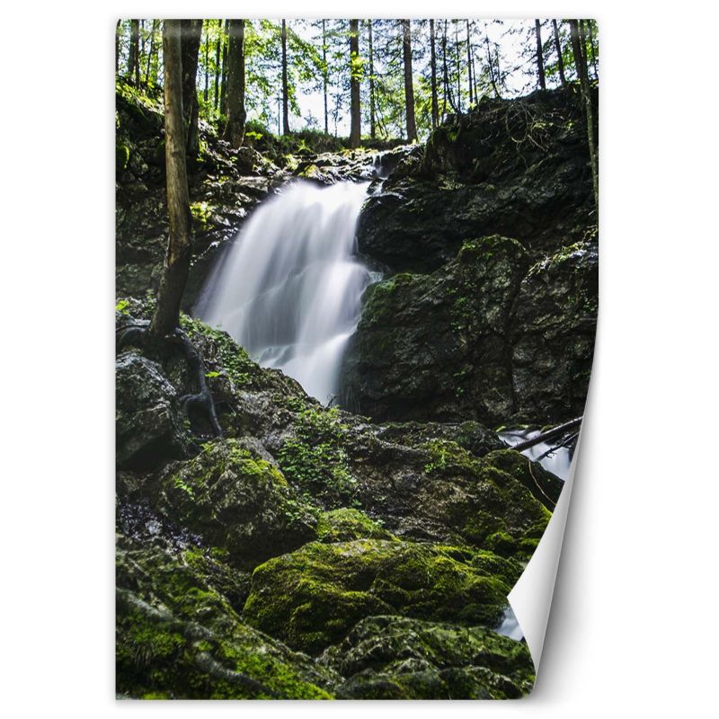 Fototapeta Feeby Wodospad w lesie 100x140 1 szt