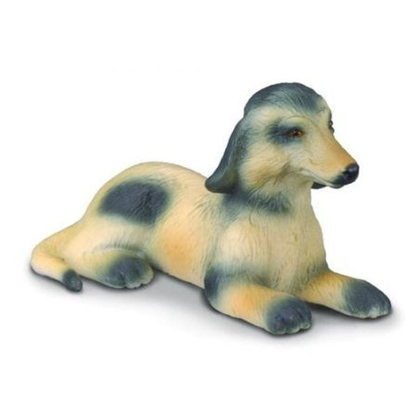 Szczenię Charta AFGAŃSKIEGO S Collecta
