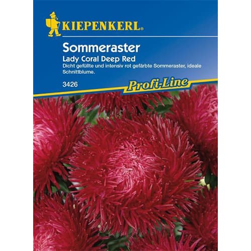 Aster chiński Lady Coral Deep Red - Nasiona. Ilość w opakowaniu: 1 opak - GradinaMax