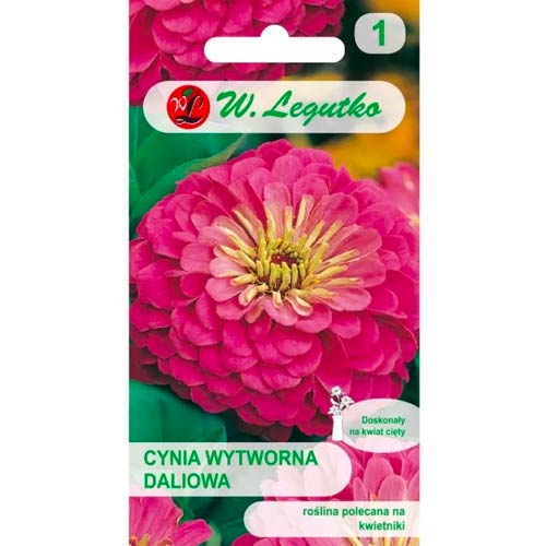 1 szt, Cynia daliowa Illumination - Nasiona: Ilość w opakowaniu: 1 g