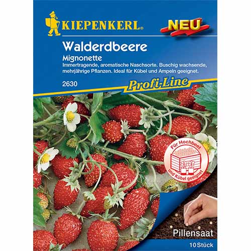 1 szt, Poziomka Mignonette Kiepenkerl - Nasiona: Ilość w opakowaniu: 1 opak