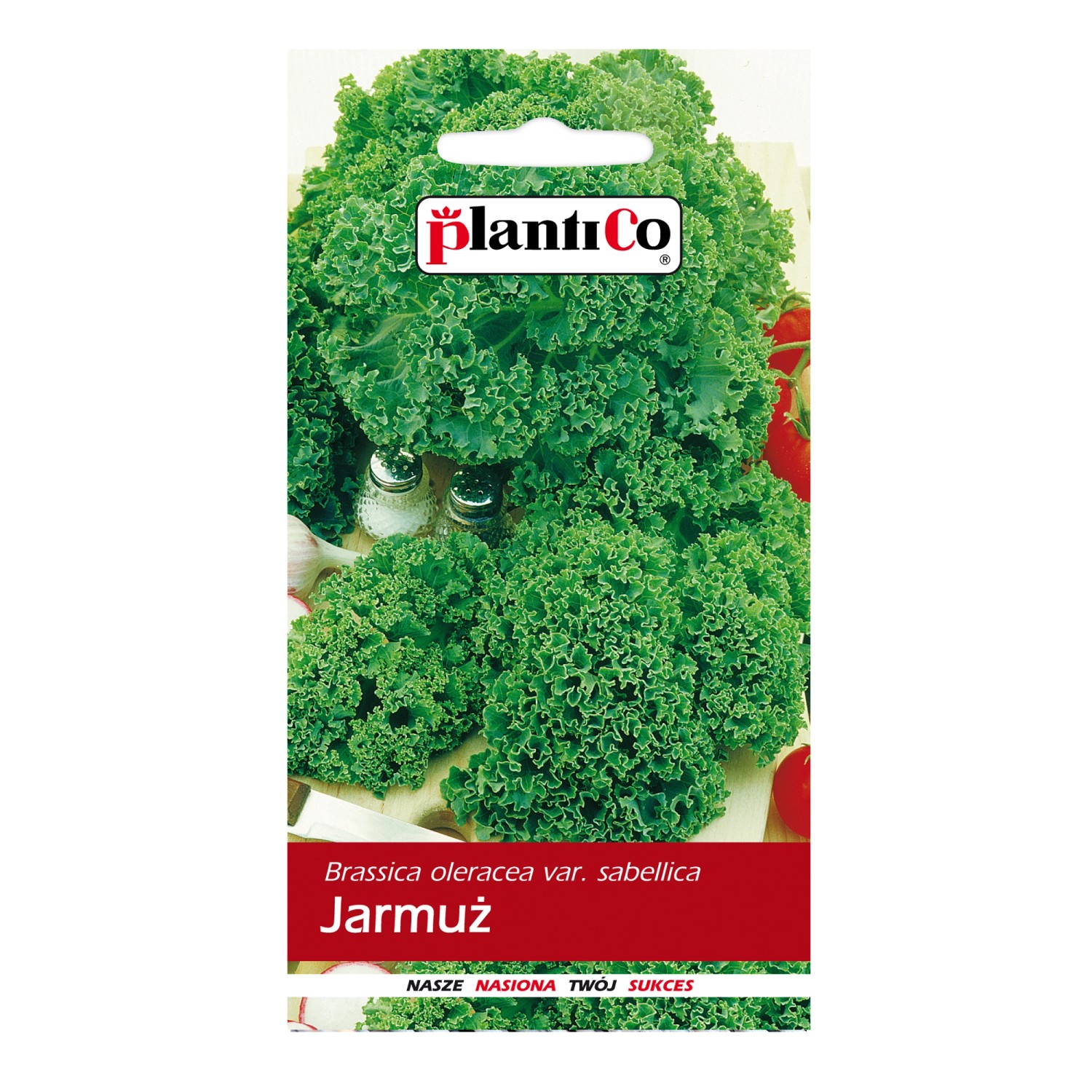 Jarmuż kędzierzawy