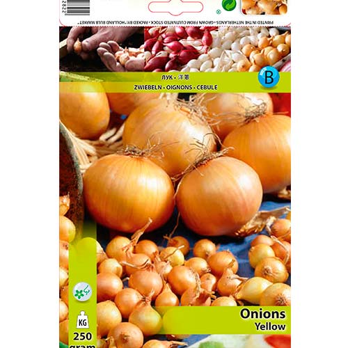 1 pac, Ceapă galbenă - Semințe: Mod de ambalare: 250 g