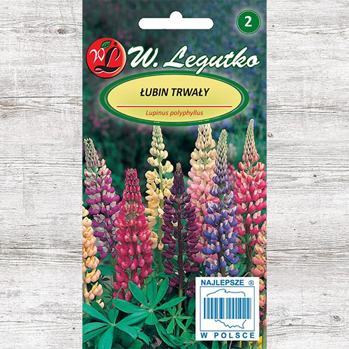 1 pac, Lupin Russel, mix multicolor Legutko - Semințe: Mod de ambalare: 2 g
