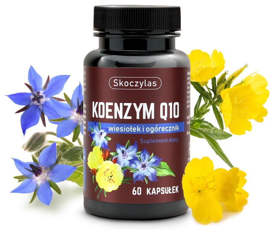Koenzym Q10 wiesiołek i ogórecznik 60kaps. Skoczylas
