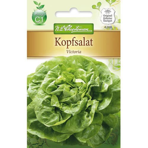 1 szt, Saláta zöld Victoria - Magok: Mod de ambalare: 1 db