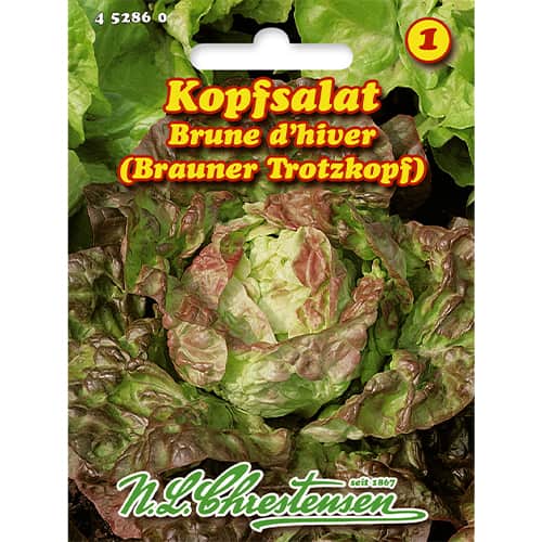 1 szt, Kopfsalat Brune d'hiver - Samen: Ilość w opakowaniu: 1 Stück