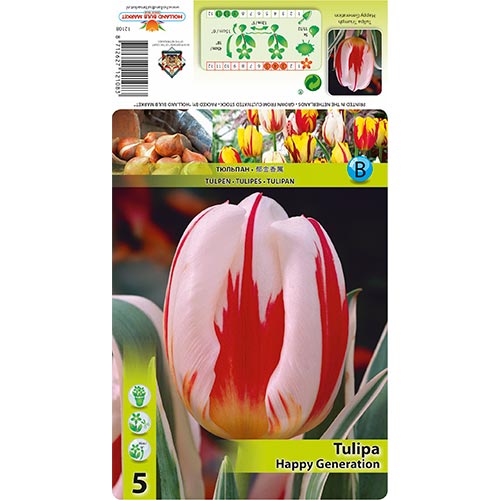 5 Stück, Tulpe Happy Generation - Blumenzwiebeln: Ilość w opakowaniu: 5 Stück