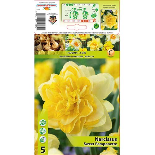5 Stück, Narzisse Sweet Pomponette - Blumenzwiebeln: Ilość w opakowaniu: 5 Stück