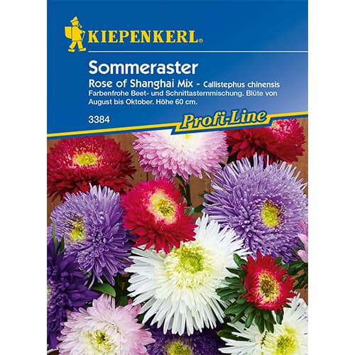 1 szt, Sommeraster Rose of Shanghai - Samen: Ilość w opakowaniu: 1 Stück