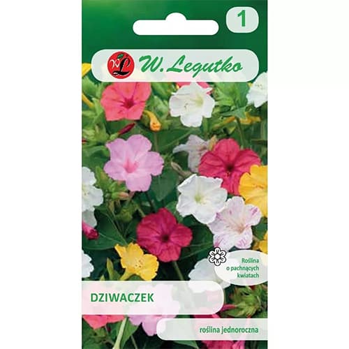 1 szt, Duftende Wunderblume - Samen: Ilość w opakowaniu: 1.5 g