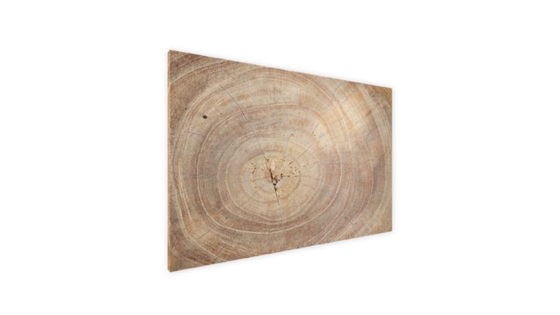 Tablica magnetyczna metalboards 60x40 cm ALLboards deska 3 (pień) 1 szt.
