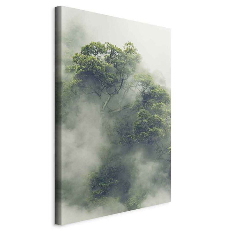 Obraz Artgeist Mglista Amazonia 80 x 120 cm flizelina 1 szt