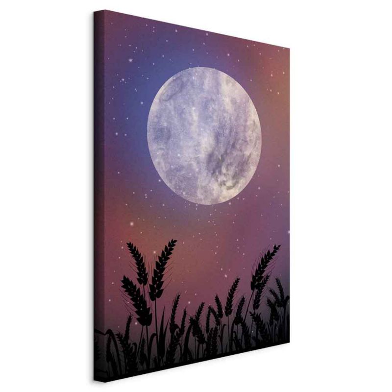 Obraz Artgeist Noc na wsi 80 x 120 cm płótno włoskie 1 szt