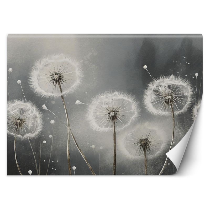 Fototapeta Feeby Dmuchawce w odcieniach szarości 300x210 1 szt