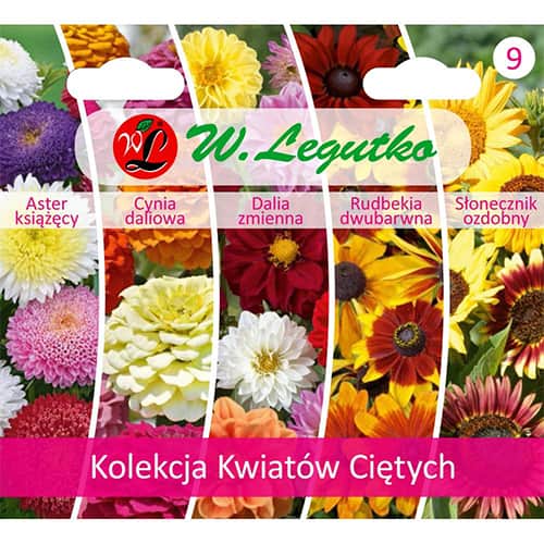 1 szt, Schnittblumen - Kollektion - Samen: Ilość w opakowaniu: 1 Stück