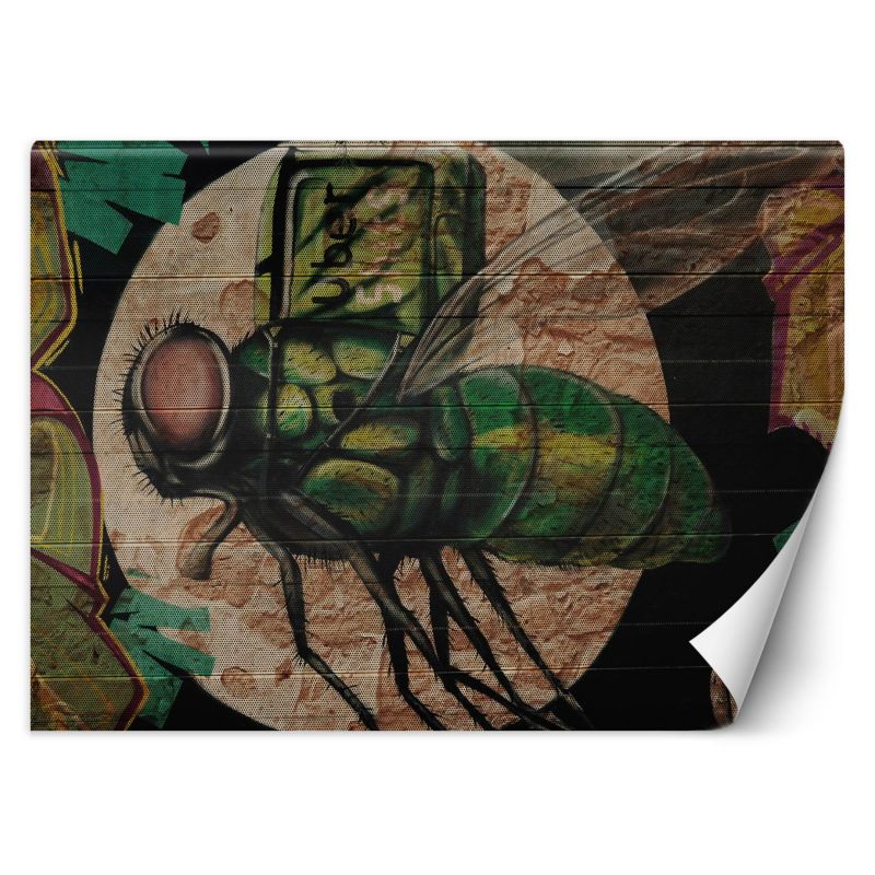 Fototapeta Feeby Zielona mucha i księżyc graffiti na ścianie 200x140 1 szt