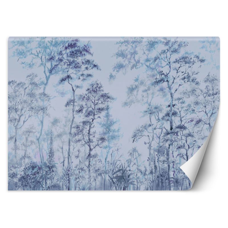 Fototapeta Feeby Wysokie drzewa natura 350x245 1 szt