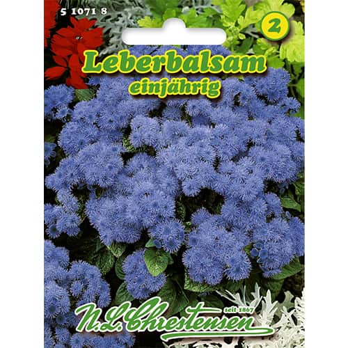 Żeniszek meksykański (Ageratum) - Nasiona. Ilość w opakowaniu: 1 opak - GradinaMax