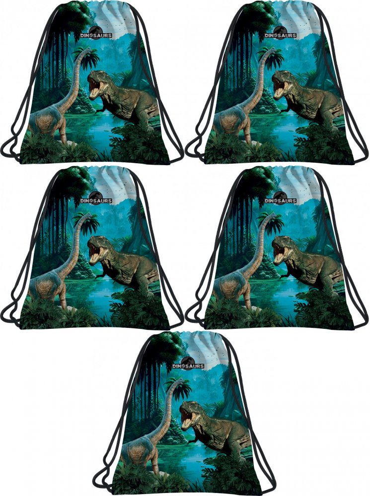5x Worek na buty Derform Dinozaur 19, 41x35cm, niebieski