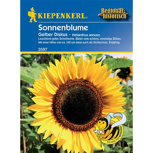 1 pac, Floarea soarelui decorativă Yellow Disc - Semințe: Mod de ambalare: 1 pac