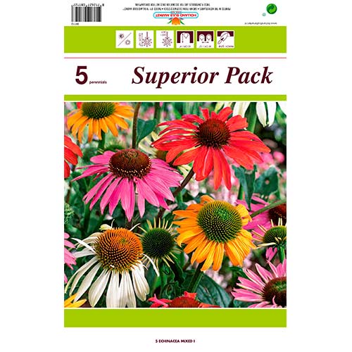 5 cib, Třapatka (Echinacea), směs barev - : Monžstvo balíkov: 5 cib