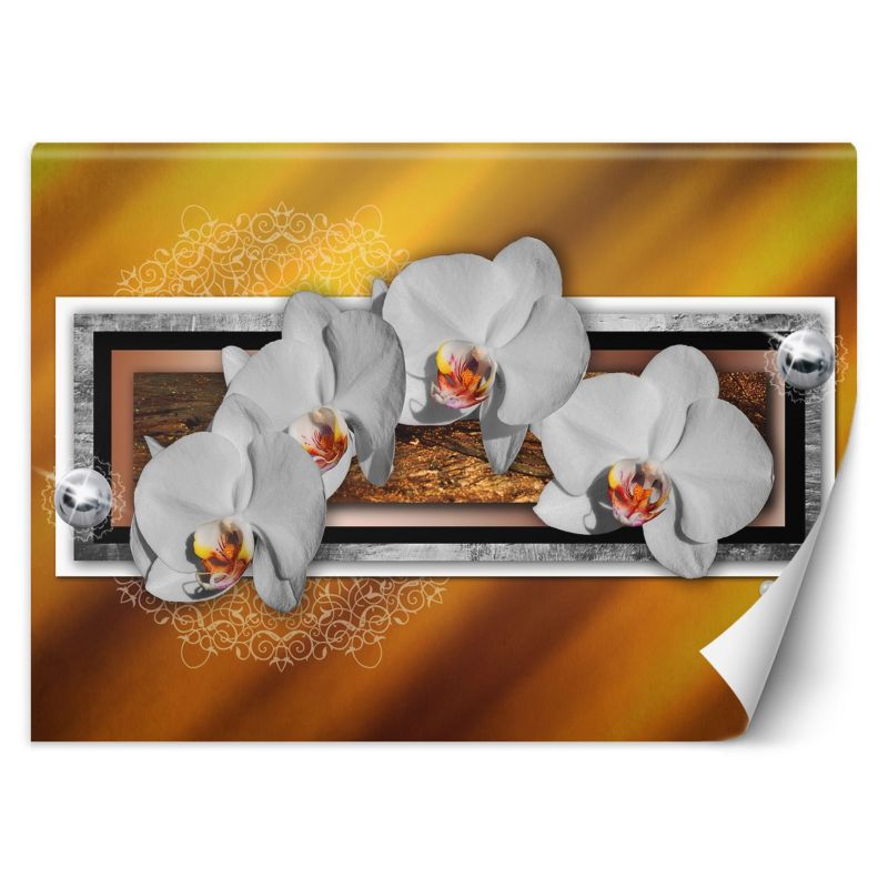 Fototapeta Feeby Geometria i orchidea 250x175 1 szt