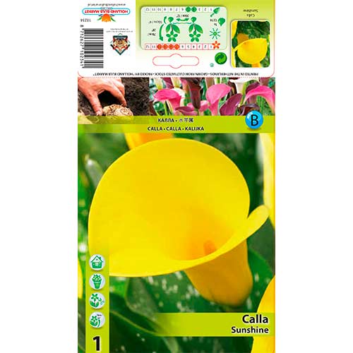 1 buc, Cală Sunshine - Bulbi: Mod de ambalare: 1 buc