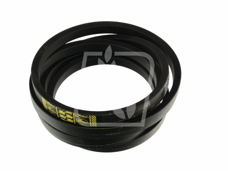 Pas Gates 0303343