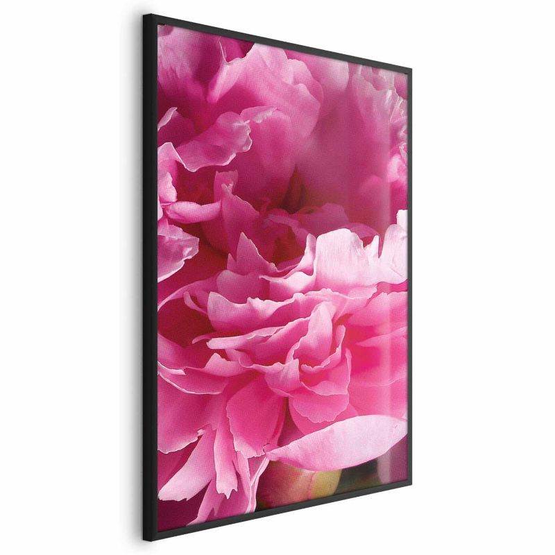 Plakat Artgeist Piękne piwonie 29,7x42 cm z ramą czarną 1 szt