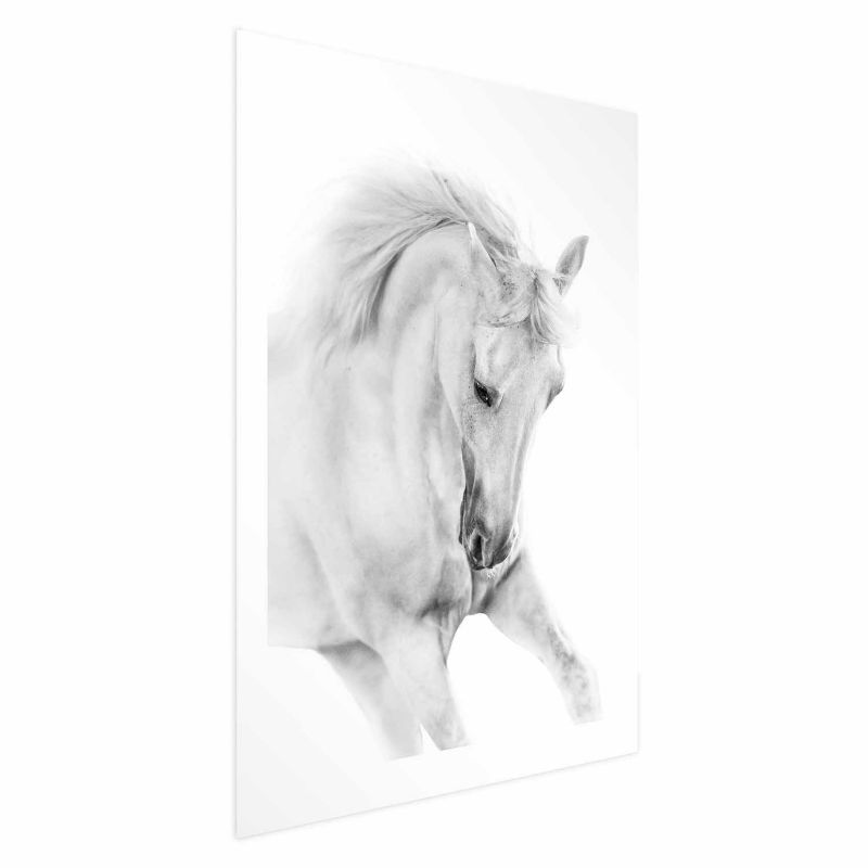 Plakat Artgeist Biały koń 60x90 cm bez ramy 1 szt