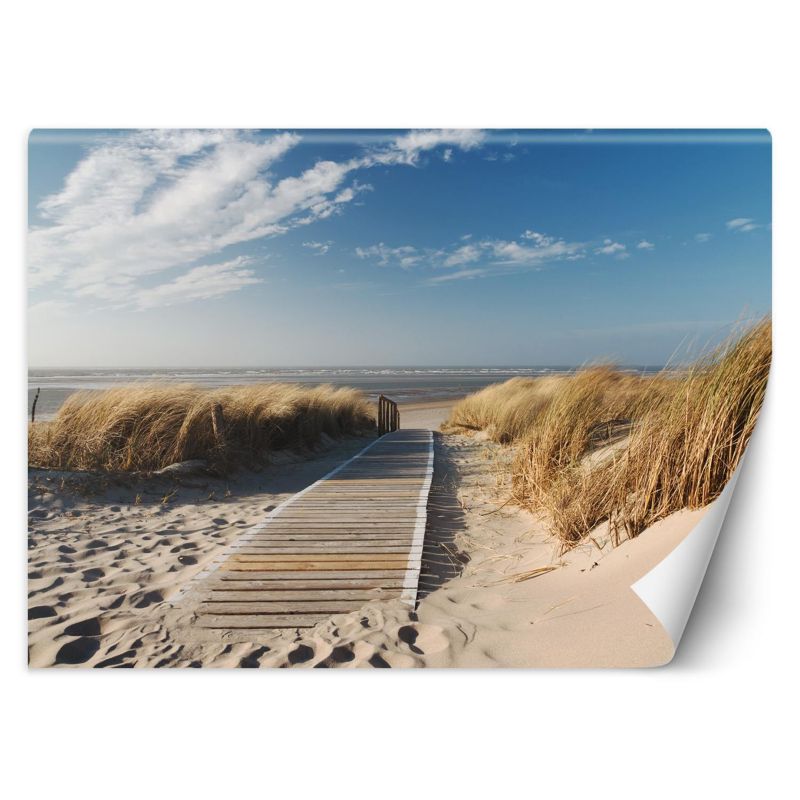 Fototapeta Feeby Plaża morze wydmy 368x254 1 szt