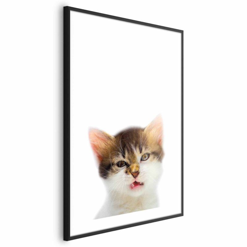 Plakat Artgeist Zirytowany kot 29,7x42 cm z ramą czarną 1 szt