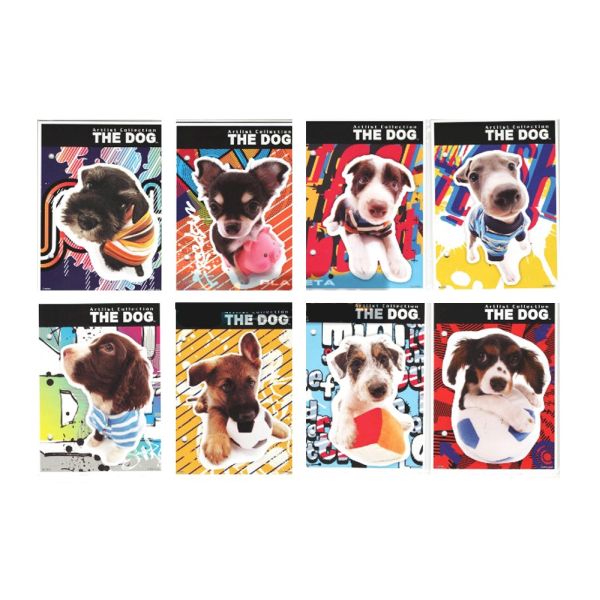 WKŁAD DO SEGREGATORA A6 DOG