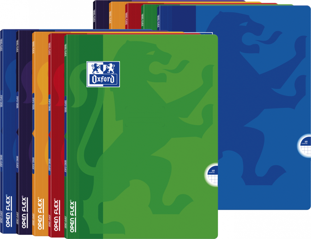 10x Zeszyt w kratkę Oxford Open Flex, A4, 60 kartek, mix kolorów