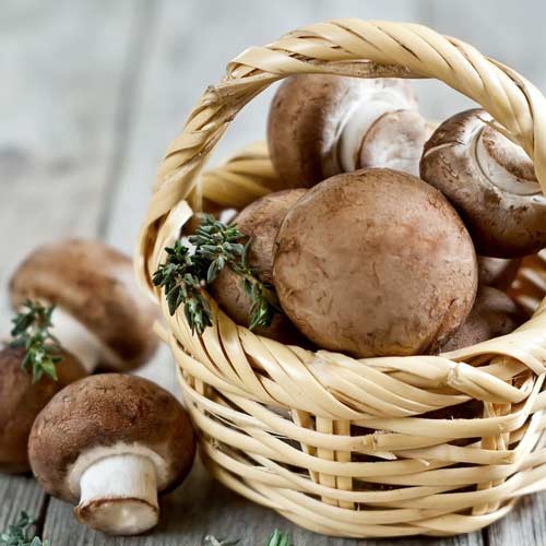 1 pac, Champignon Portobello - : Mod de ambalare: 60 ml