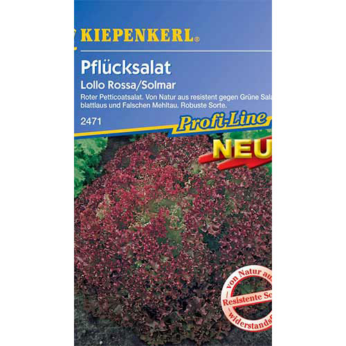 1 pac, Salată Lollo Rossa Kiepenkerl - Semințe: Mod de ambalare: 1 pac
