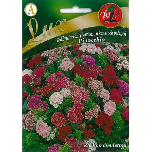 1 pac, Garoafă turcească Pinocchio, mix multicolor - Semințe: Mod de ambalare: 0.5 g