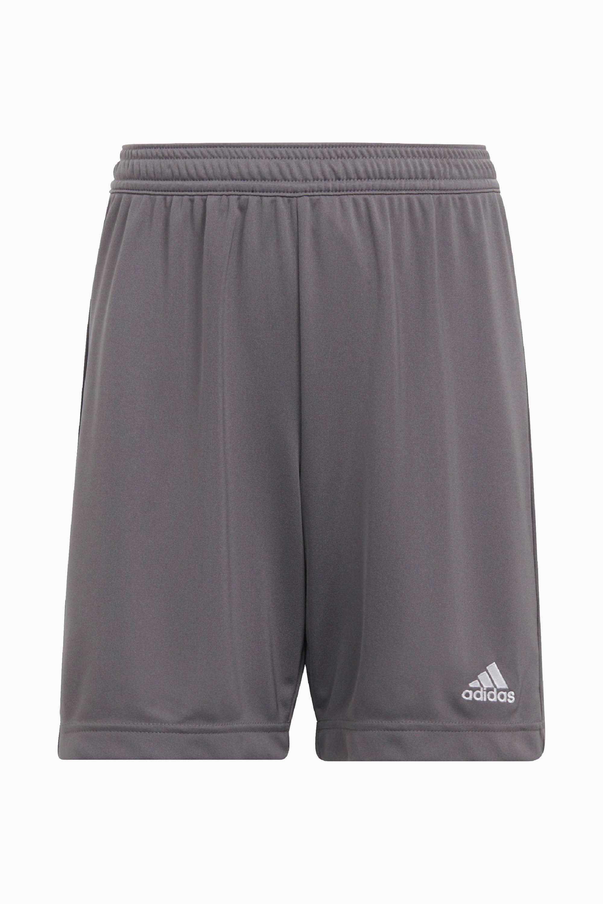 Spodenki adidas FC Wrocław Academy 23/24 Junior - Szary