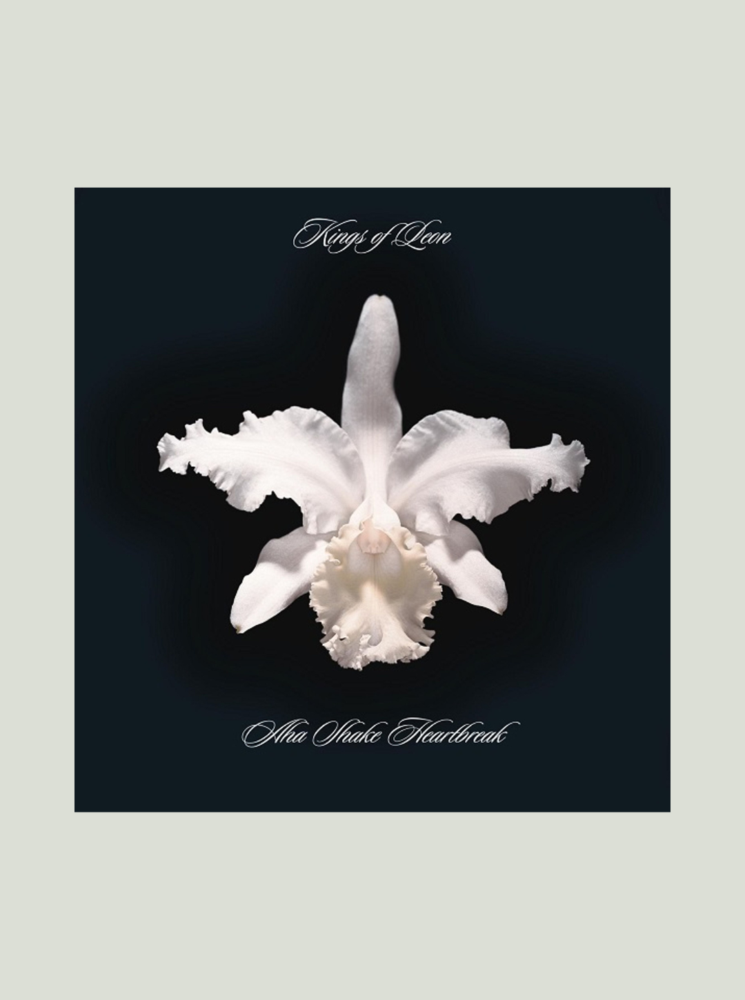 Płyta winylowa Kings Of Leon - Aha Shake Heartbreak (180g)