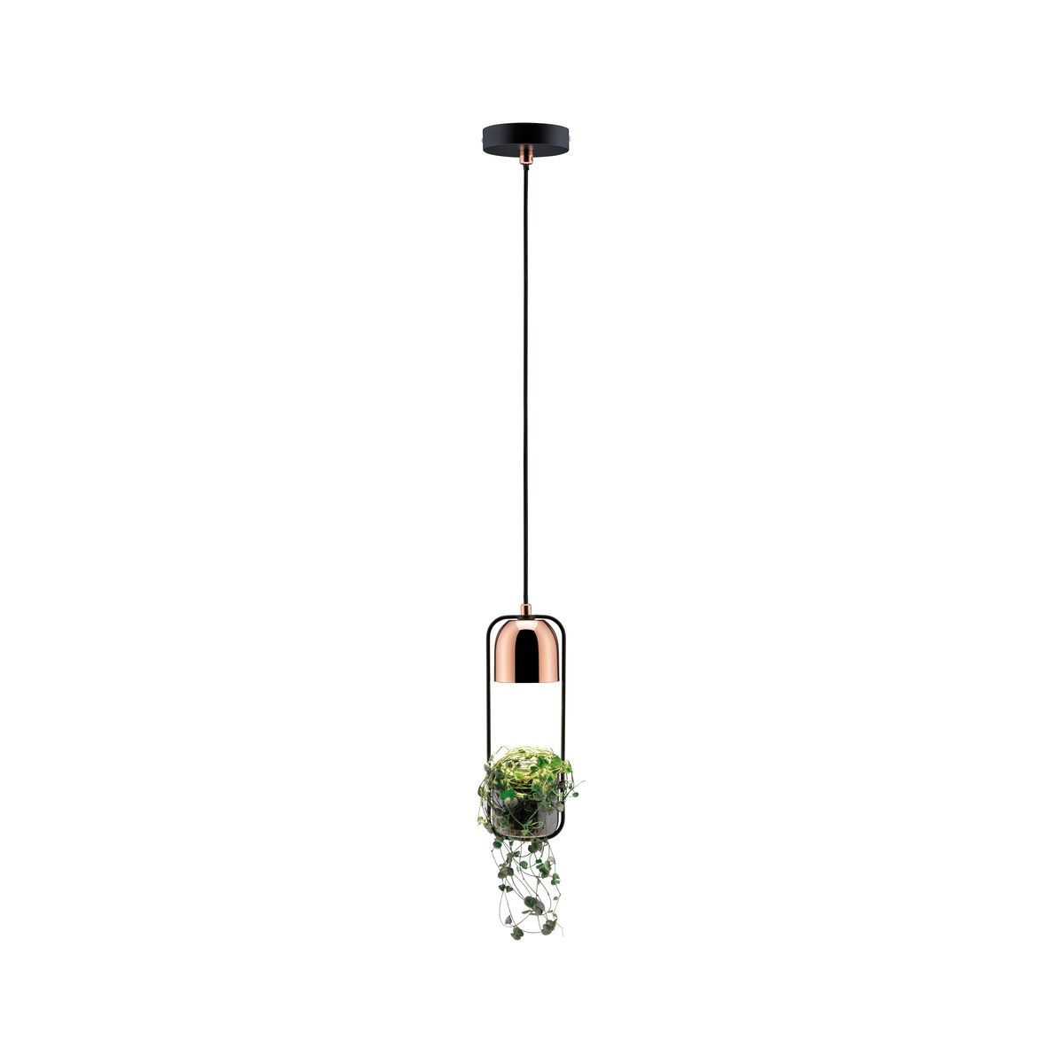 Paulmann Neordic Fanja lampa wisząca 1x20W czarny/miedziany 79749 - Wysyłka w 24h