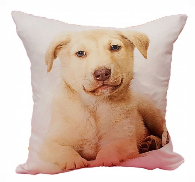 Foto Poszewka na poduszkę z mikrofibry 35x35 wz.34 piesek