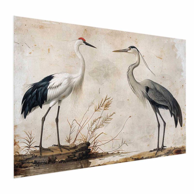 Plakat Artgeist Ptaki z ryciny 90x60 cm bez ramy 1 szt