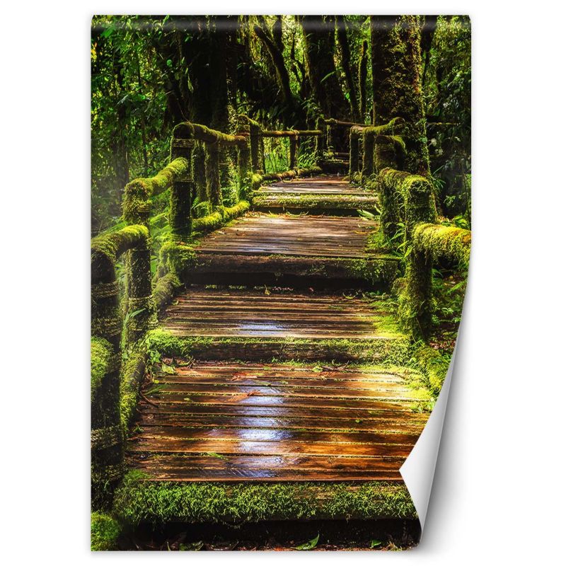 Fototapeta Feeby Mostek w zielonym lesie 200x280 1 szt